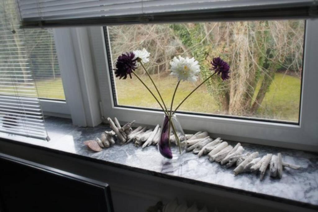 Appartement Sophia Hameln - Maritim Wohnen Im Weserbergland Hessisch Oldendorf